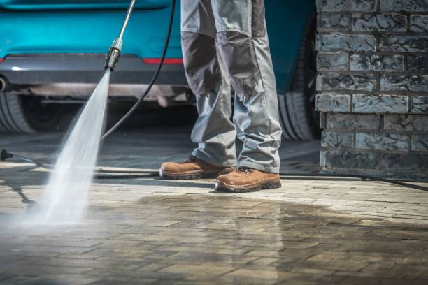Best Pool Deck Cleaning  in Dimondale, MI