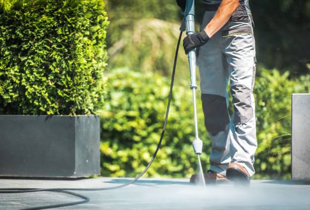Best Driveway Pressure Washing  in Dimondale, MI