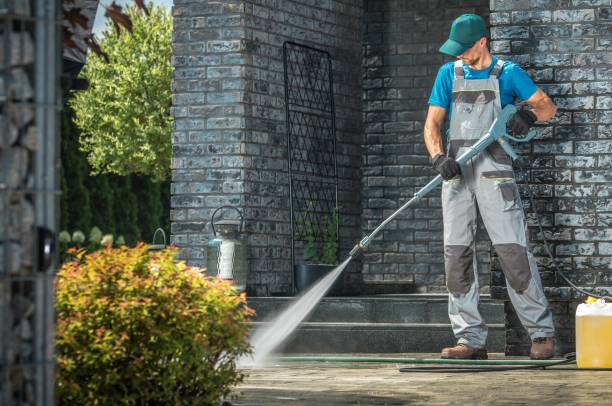 Best Solar Panel Cleaning  in Dimondale, MI