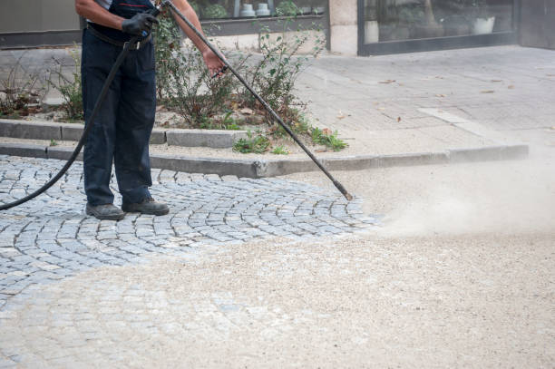 Best Restaurant Pressure Washing  in Dimondale, MI