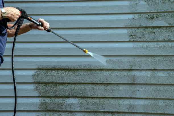 Best Patio and Deck Pressure Washing  in Dimondale, MI