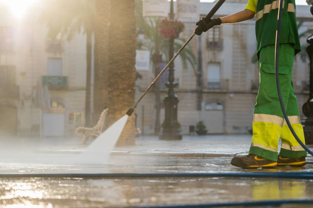 Best Spring Cleaning  in Dimondale, MI