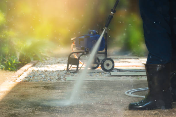 Best Rust Removal  in Dimondale, MI